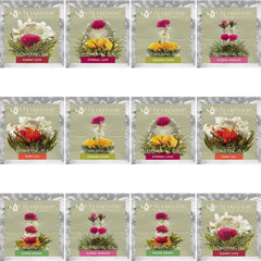 Teabloom jasmine flowering tea in a glass teapot with blooming bouquet.