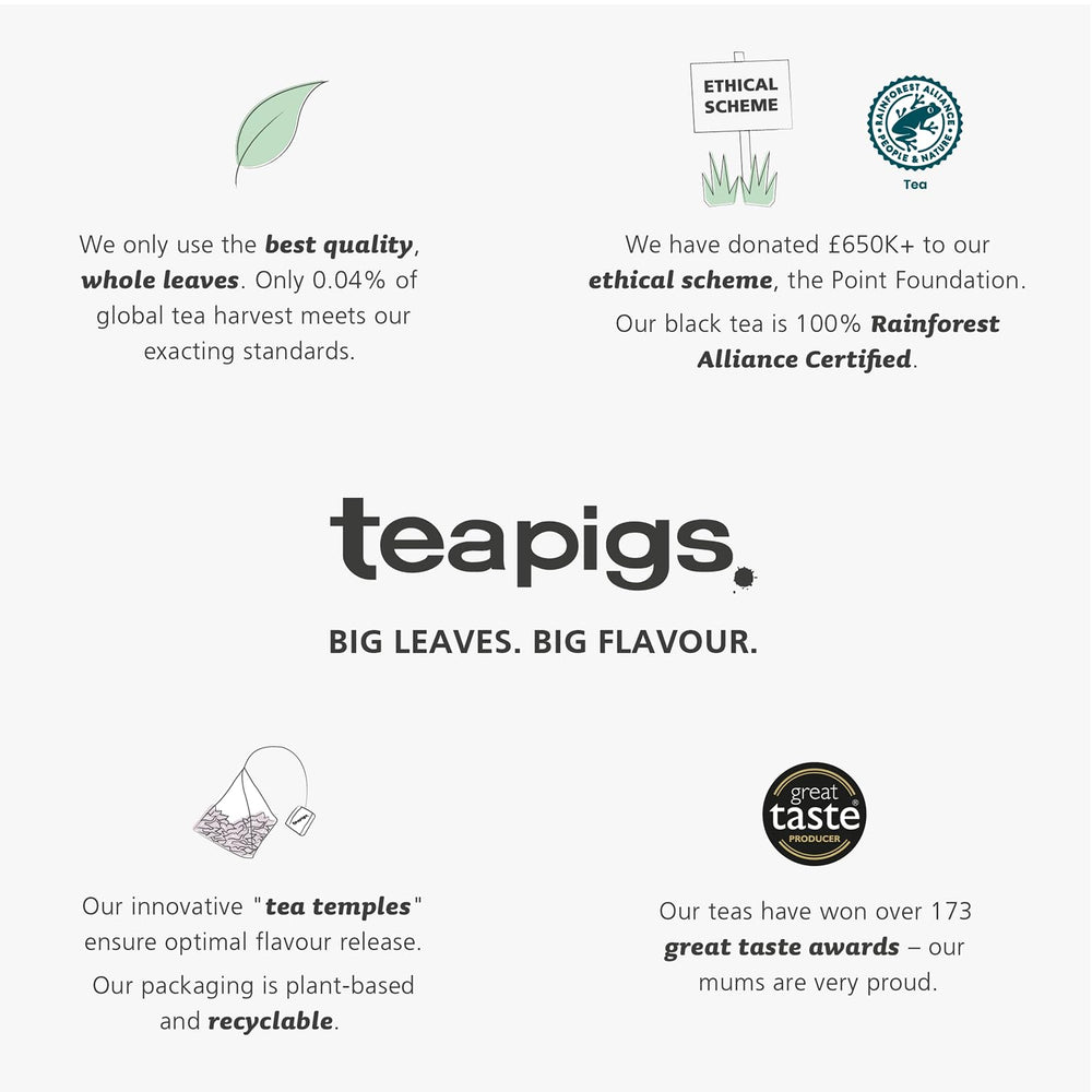 Teapigs award-winning brand trusted by cafes and homes worldwide