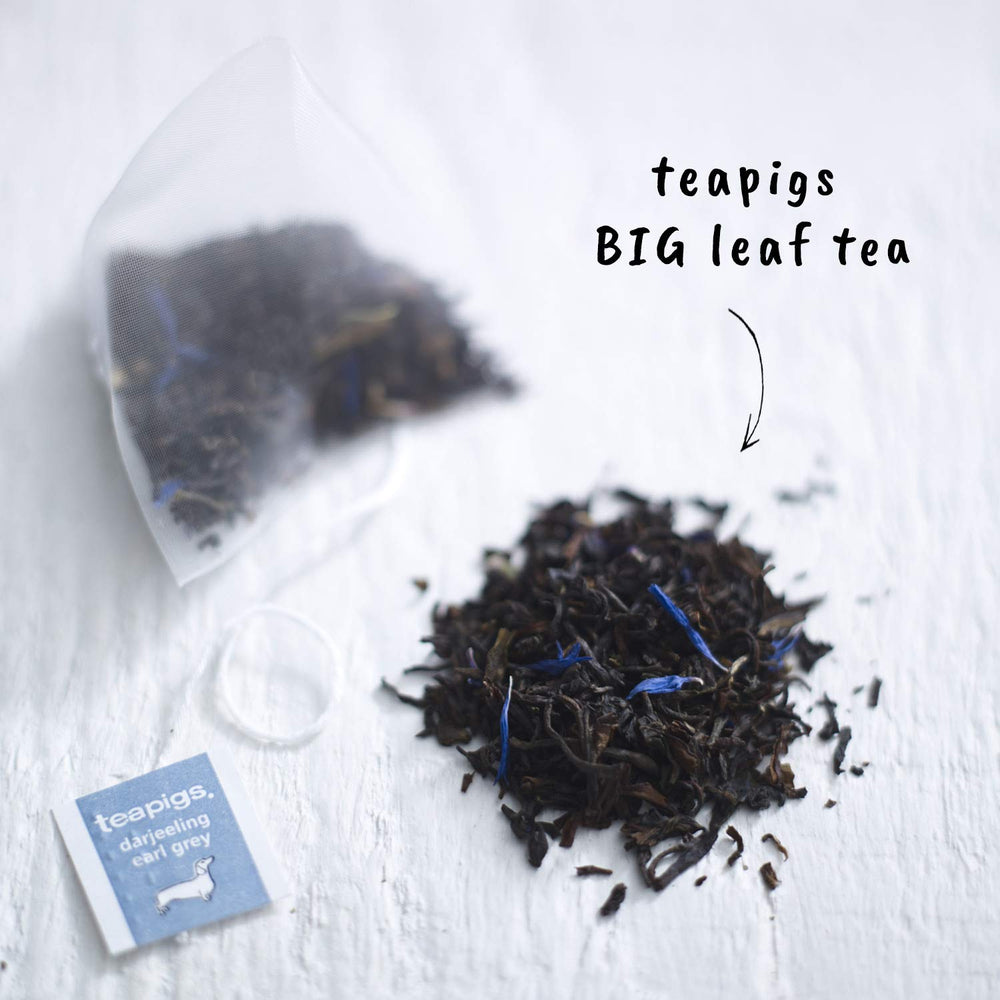 Teapigs Darjeeling Earl Grey whole-leaf close-up highlights premium quality leaves.