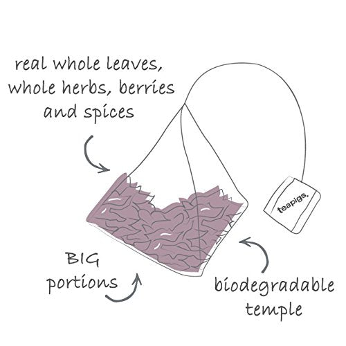 Teapigs tea temple makes easy, flavorful infusions in minutes.