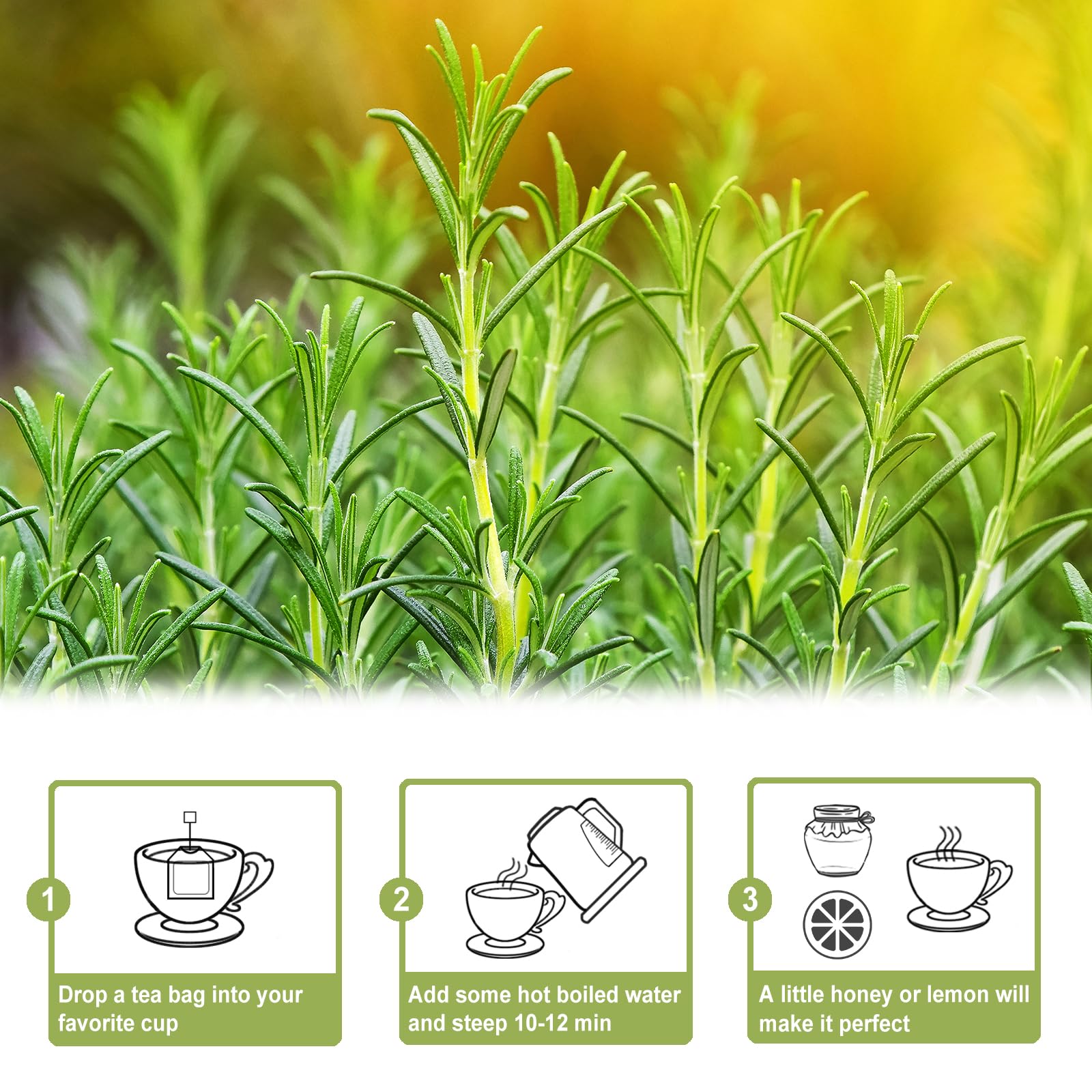 Steaming cup of TEARELAE rosemary tea with piney aroma for mindful sipping
