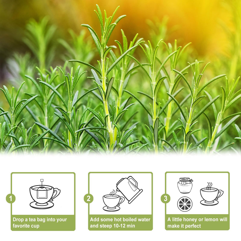 Steaming cup of TEARELAE rosemary tea with piney aroma for mindful sipping