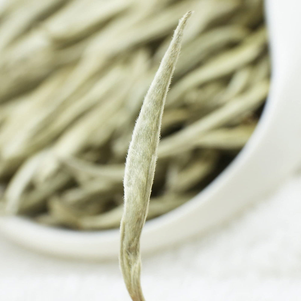 TEARELAE Bai Hao Yin Zhen spring buds signaling freshness.