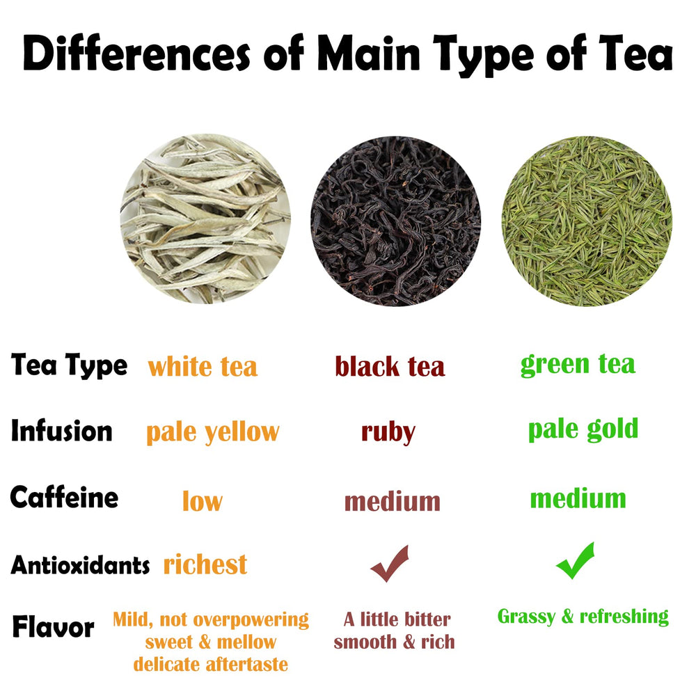 TEARELAE light infusion reveals a clean, refined aftertaste.