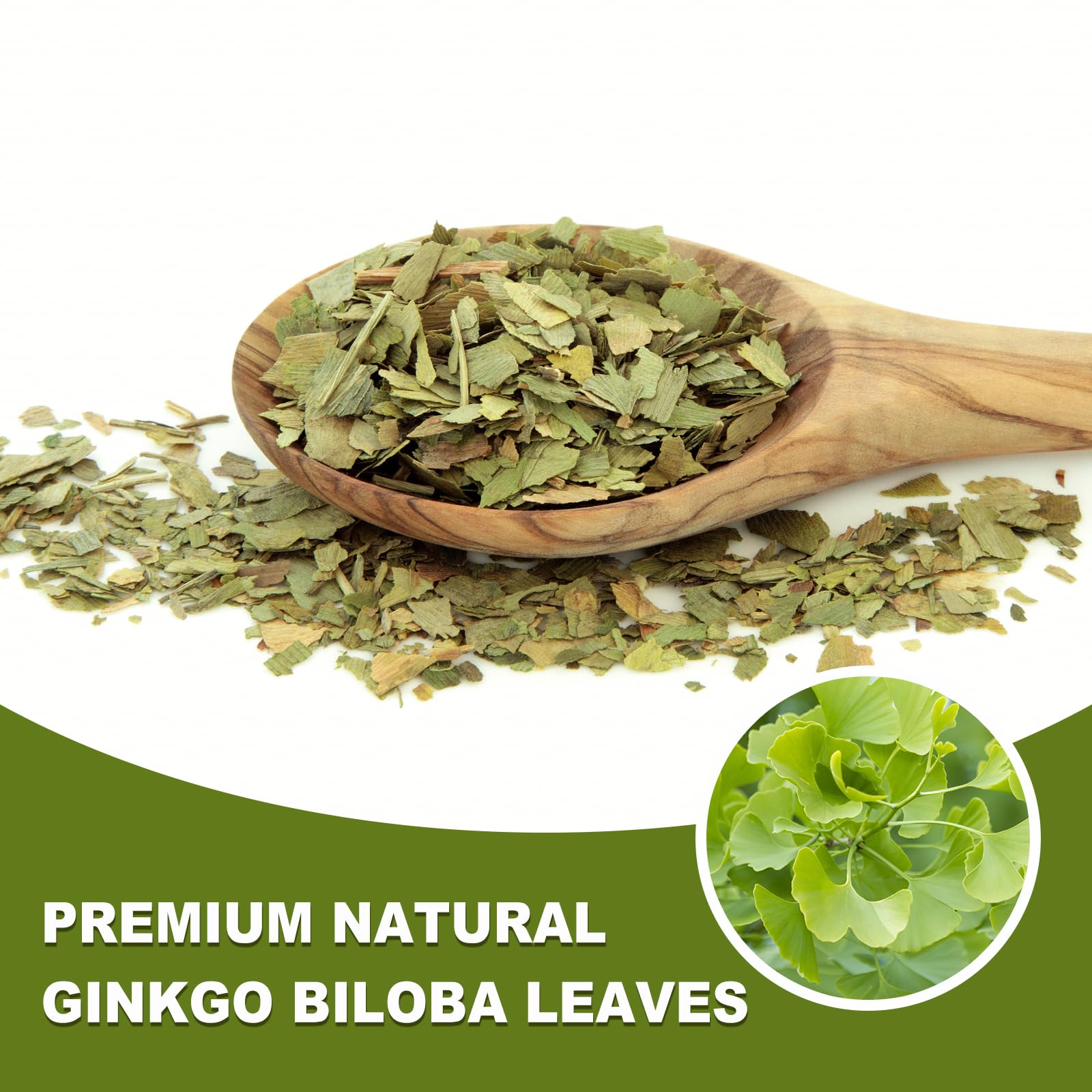 TEARELAE Ginkgo Biloba Tea Bags in cup capture a delicate, nutty-herbal aroma