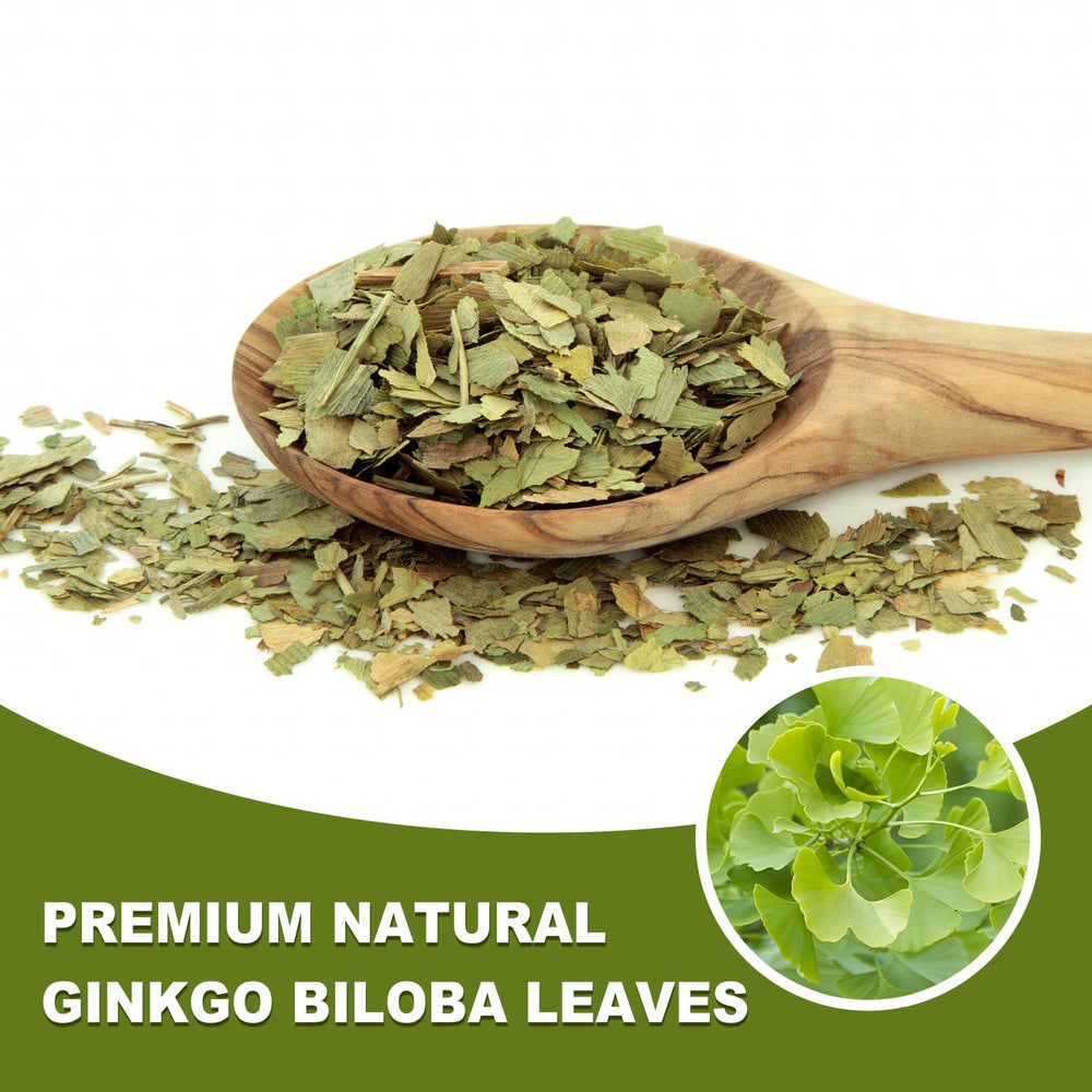 TEARELAE Ginkgo Biloba Tea Bags in cup capture a delicate, nutty-herbal aroma