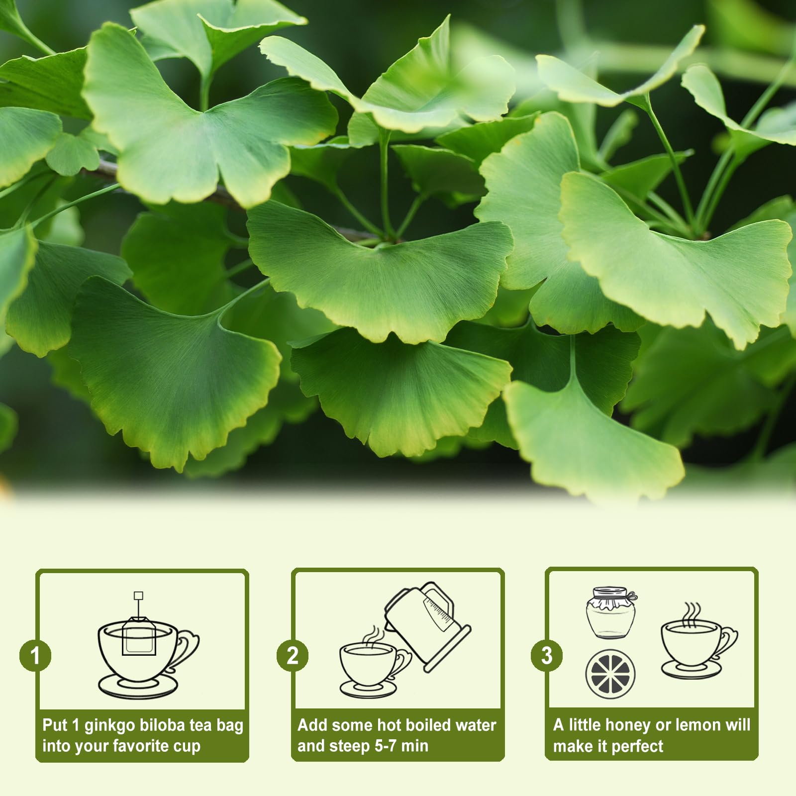 TEARELAE Ginkgo Biloba Tea Bags ultrasonic sealed ensure glue-free, clean brewing