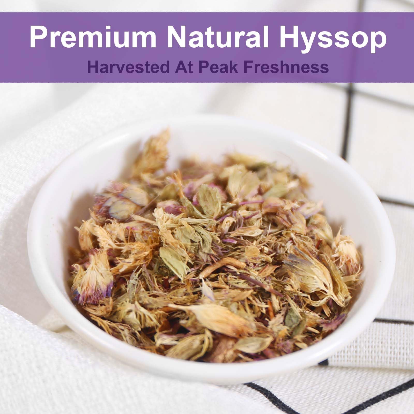 TEARELAE Hyssop Tea cup steeping, inviting a soothing hot beverage.
