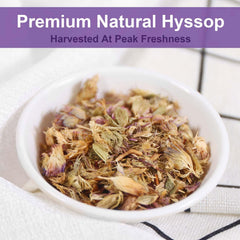TEARELAE Hyssop Tea cup steeping, inviting a soothing hot beverage.