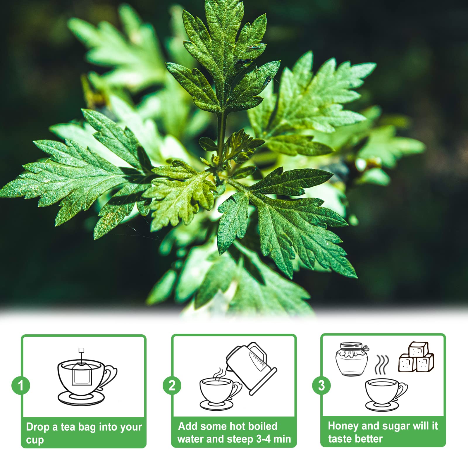 Brewing steps with kettle and timer for a balanced mugwort infusion.