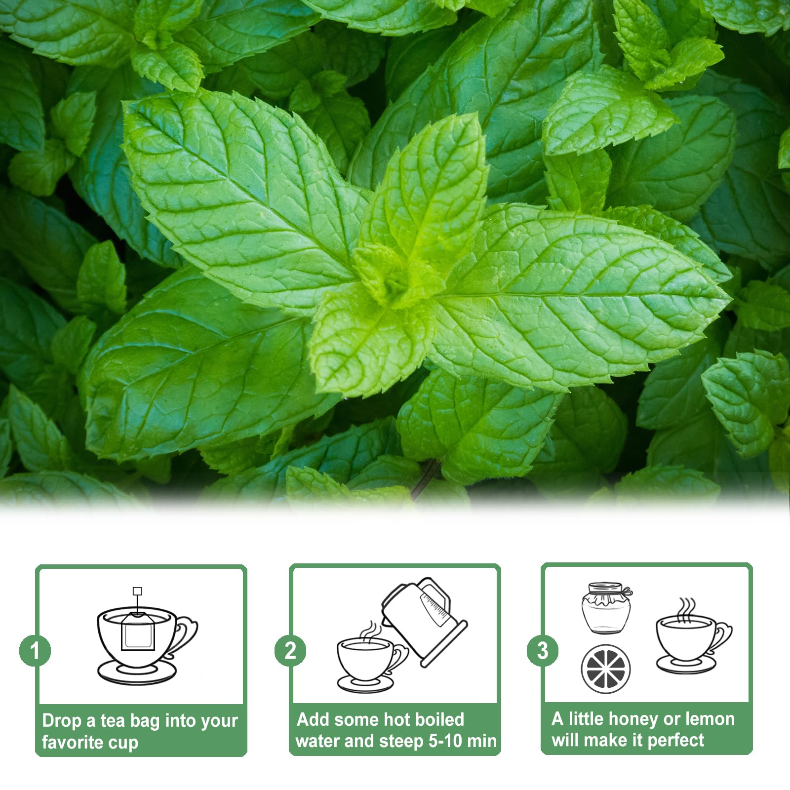 TEARELAE spearmint tea 50-count box ready for daily freshness.