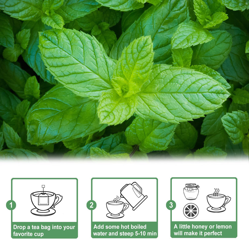 TEARELAE spearmint tea 50-count box ready for daily freshness.