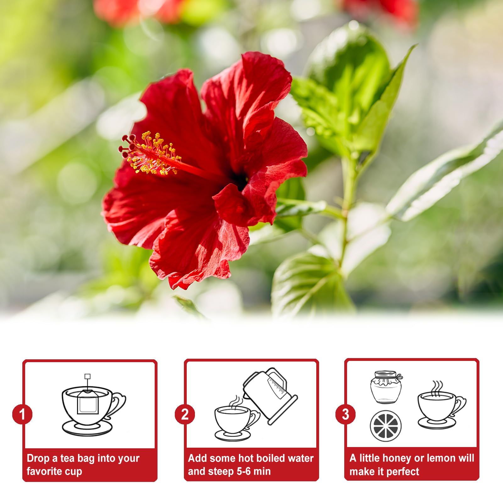 TEARELAE ultrasonic-sealed tea bags ensure pure taste during brewing
