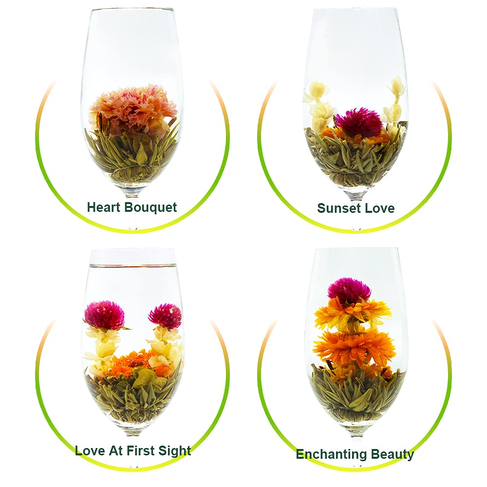 TEARELAE variety blooms invite exploration of 12 flavors, perfect for tasting parties and mindful breaks.