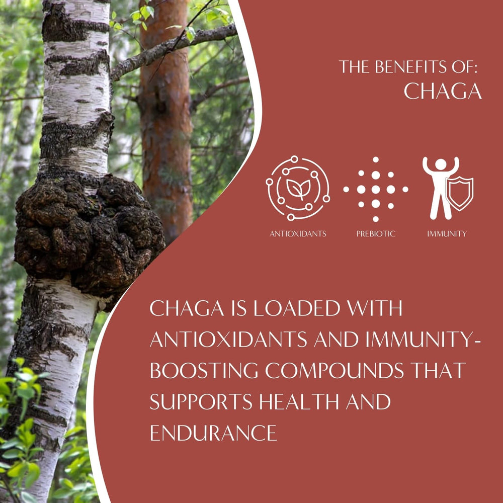 Cup of Teeccino Chaga Ashwagandha tea being brewed.