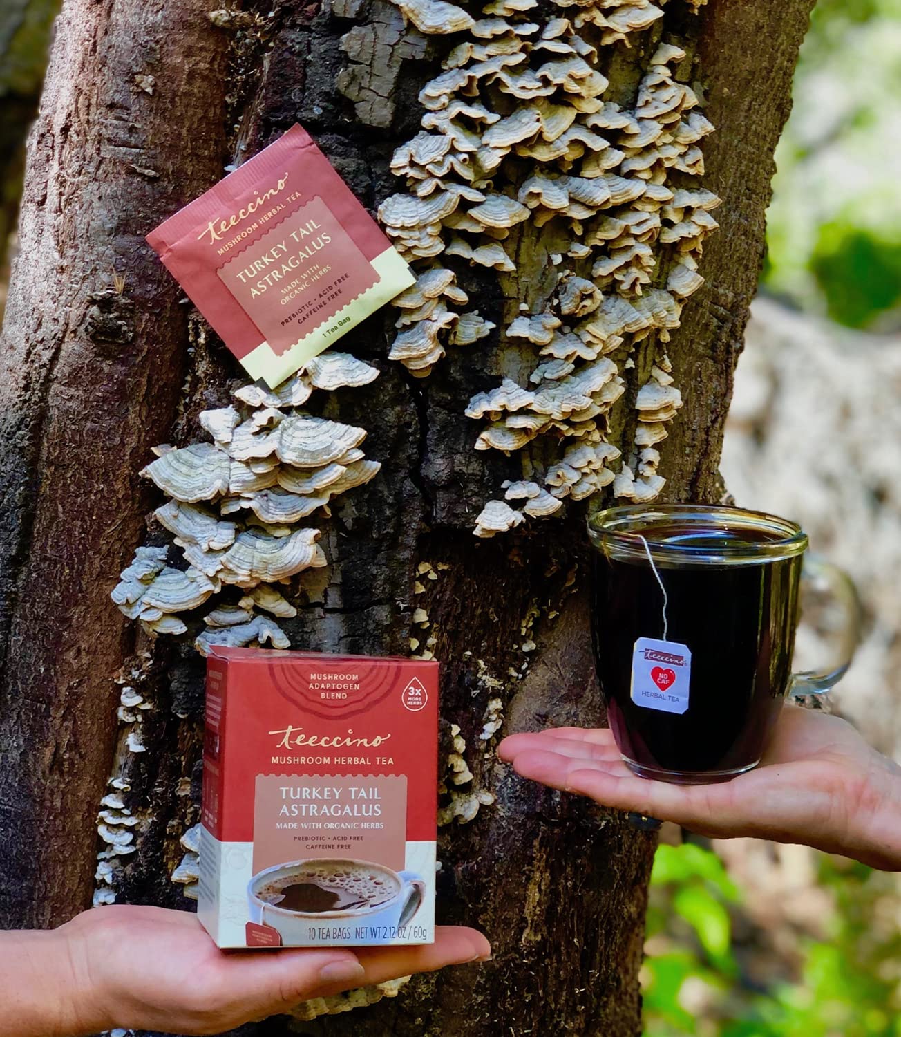 Box of Teeccino mushroom tea showing 25 tea bags for daily use