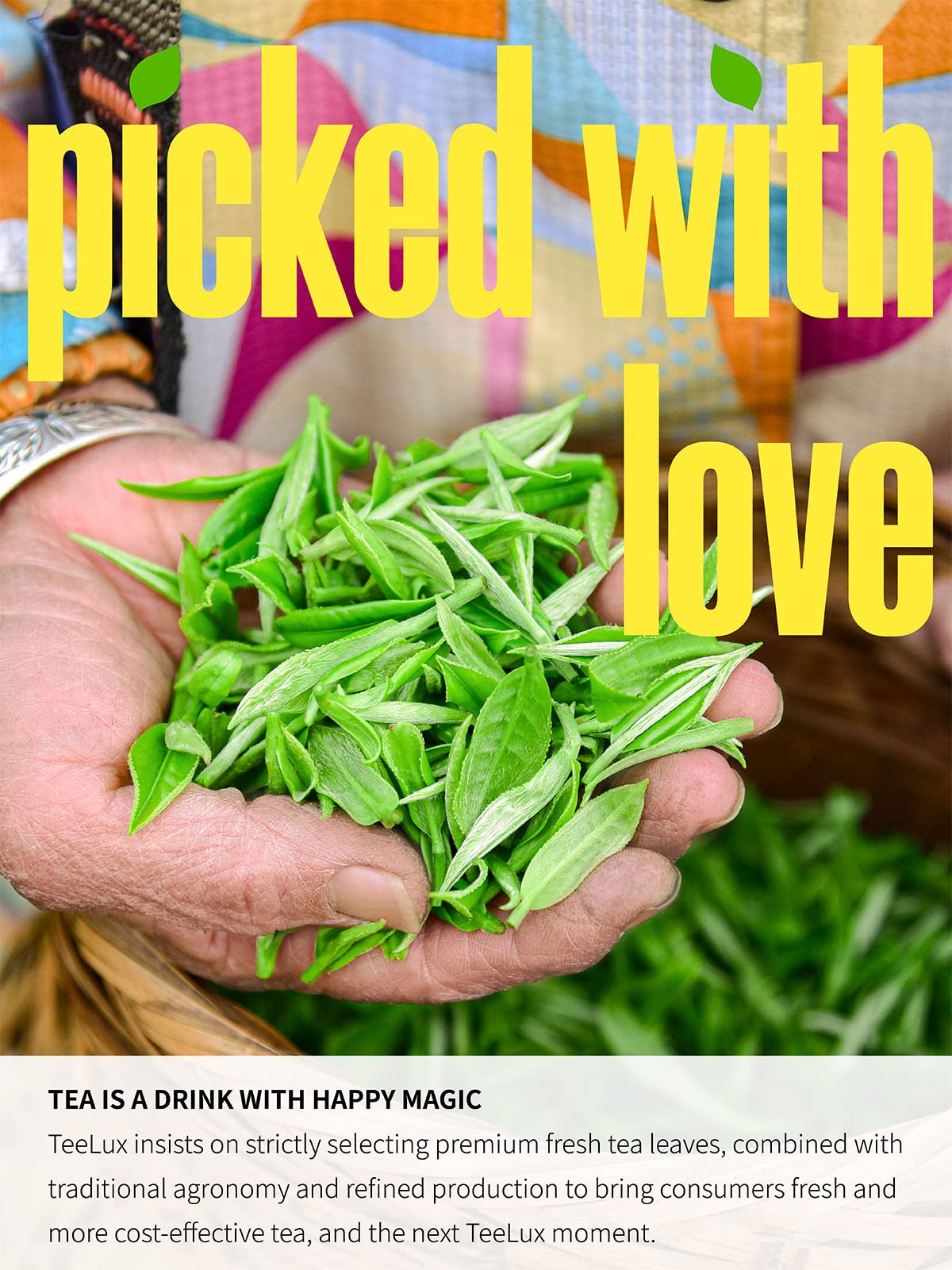 TeeLux brewed jasmine pearls tea suitable for daily rituals at home.