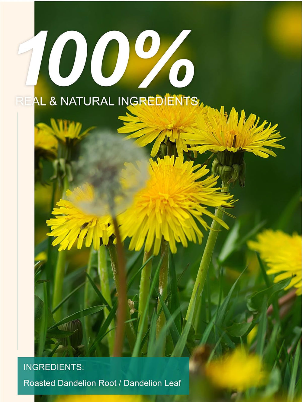 TeeLux dandelion blend closeup showing natural ingredients and balanced flavor.
