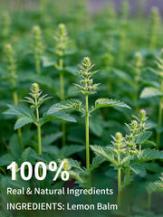 Steeping TeeLux Lemon Balm Tea releases bright lemon aroma and mint notes.