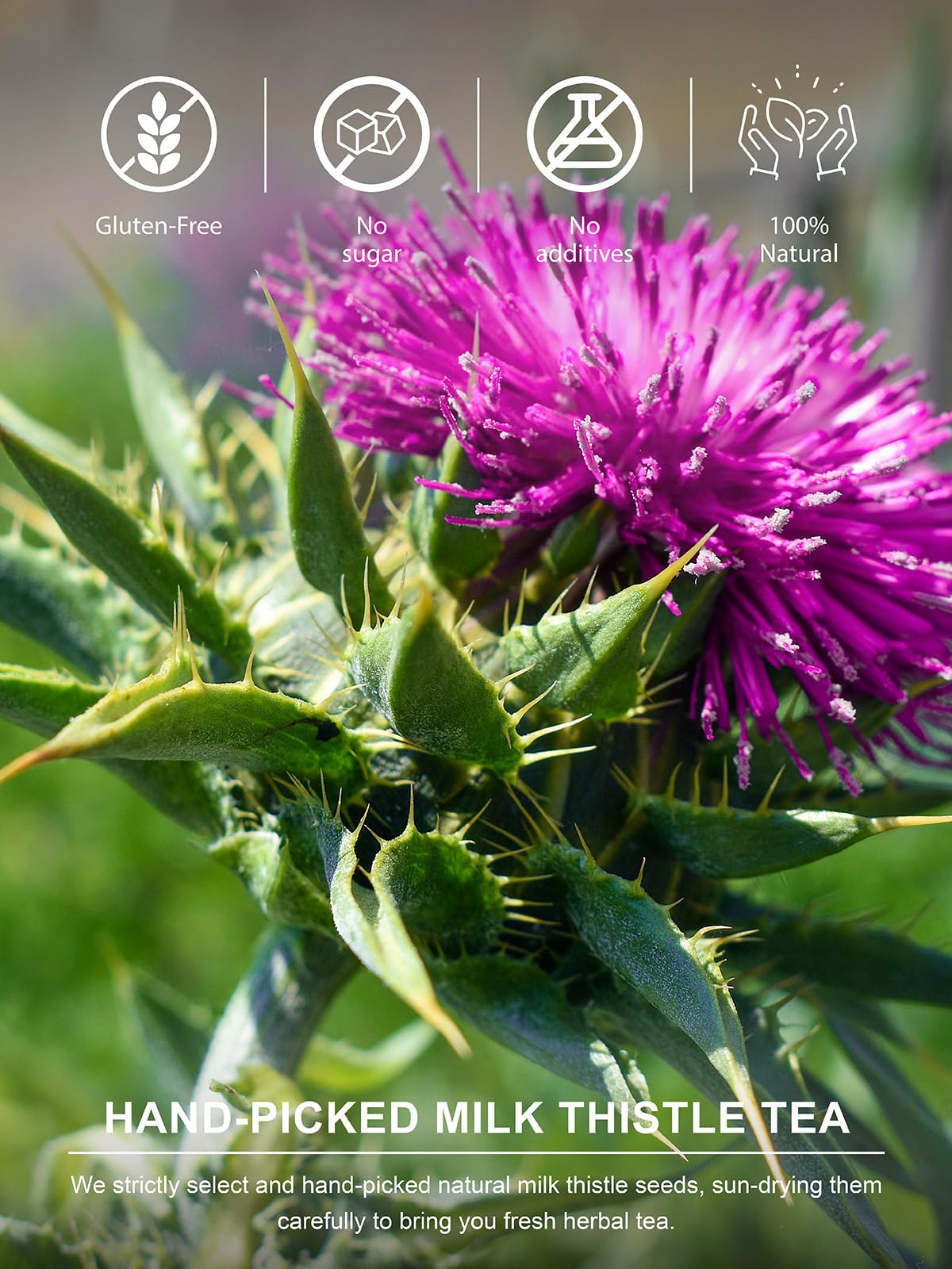 TeeLux Milk Thistle Tea in a glass cup releases a gentle herbal aroma.