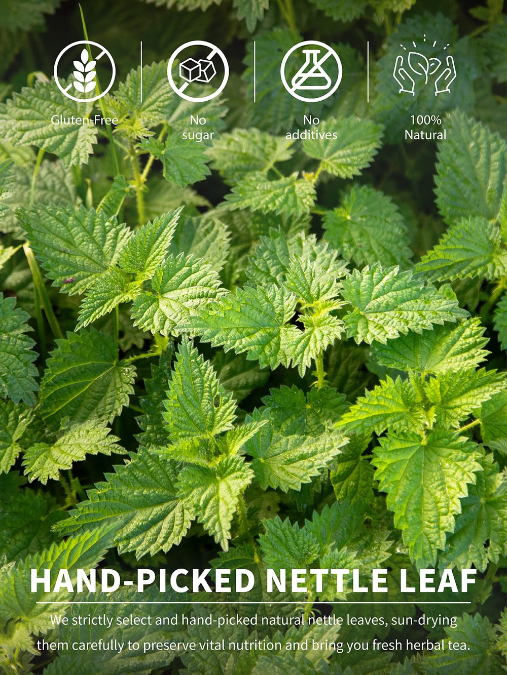 TeeLux nettle tea is caffeine-free for a calm, anytime cup