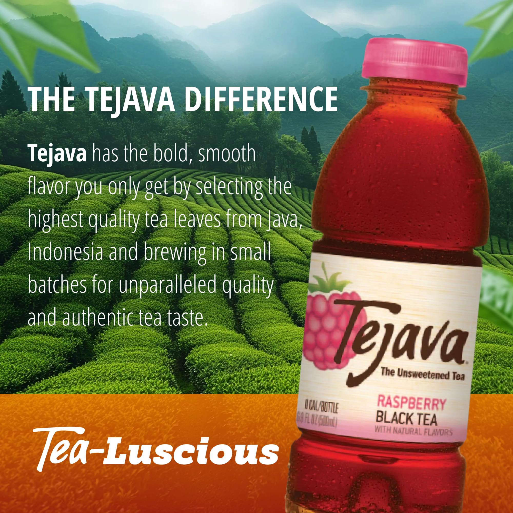 Tejava iced tea setup served over ice for a premium refreshment