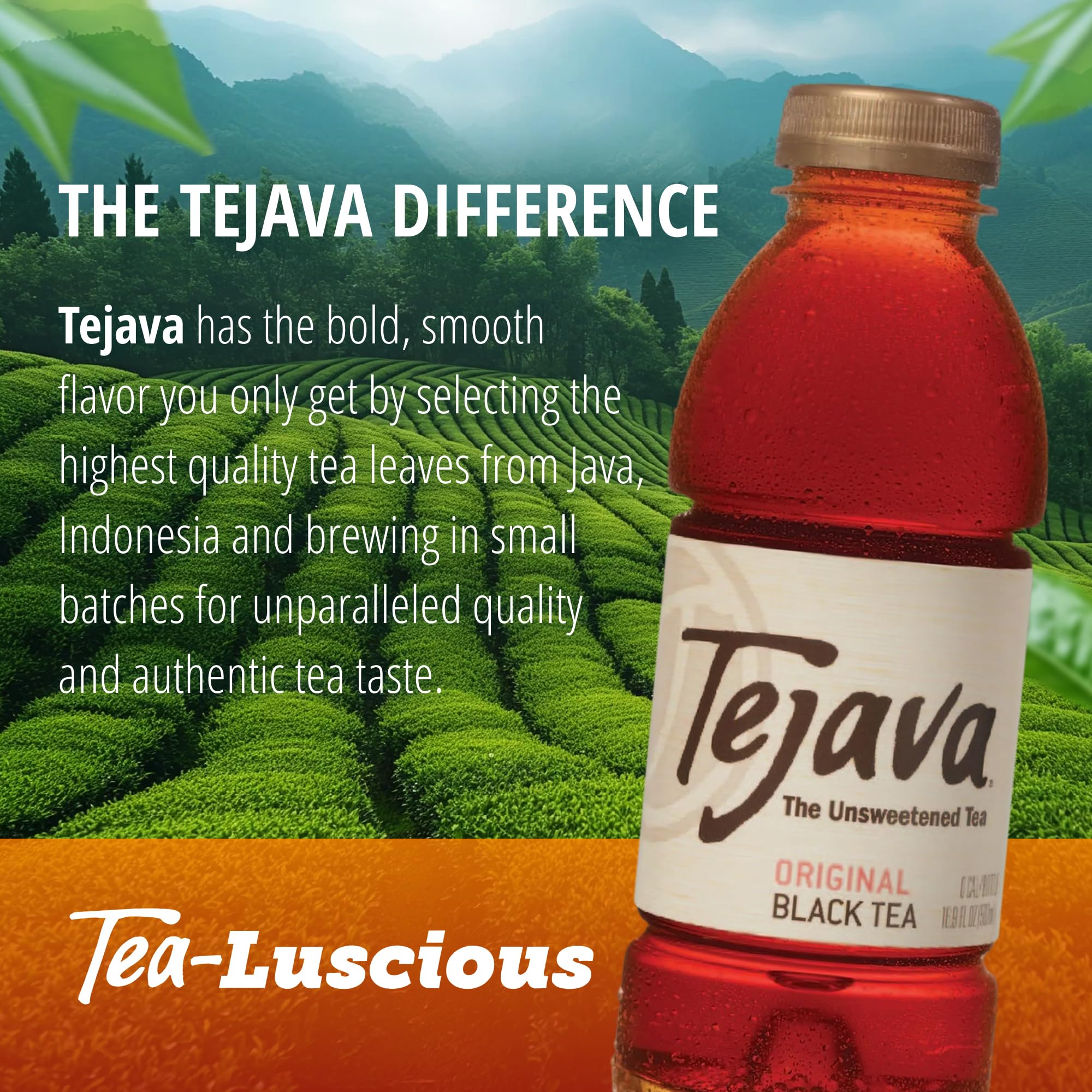 Tejava Original Black Tea handpicked leaves image conveys premium quality.
