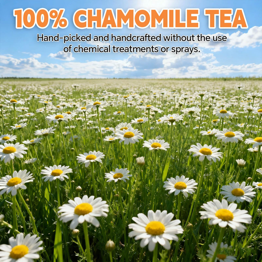 Tenyxarae Chamomile Tea Bags during a relaxation moment for calm evenings