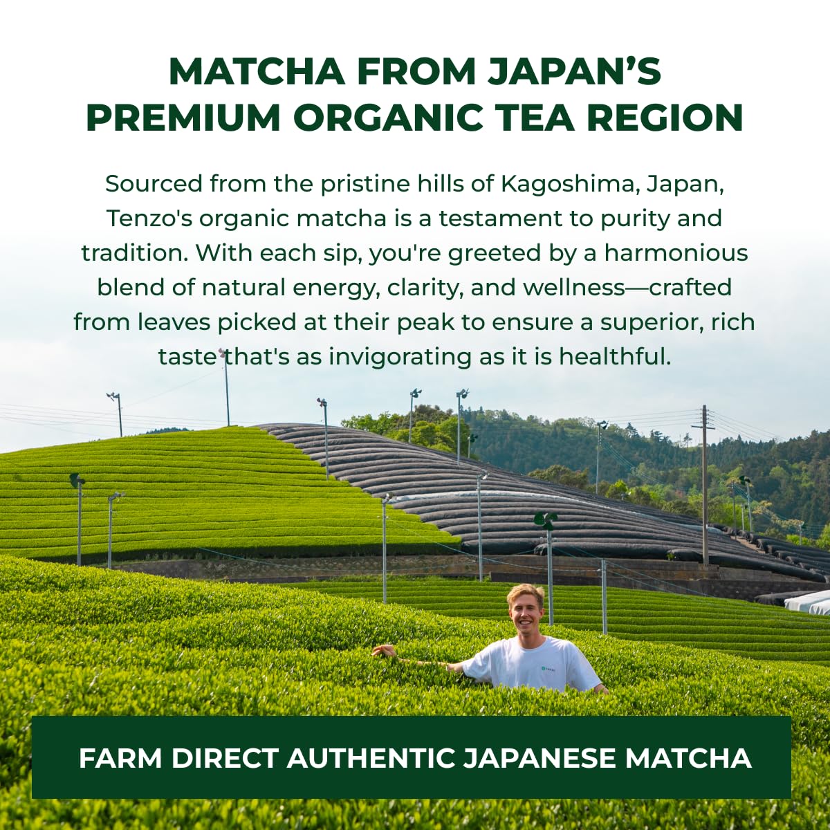 Tenzo Tea matcha powder showing kosher and vegan certification options.