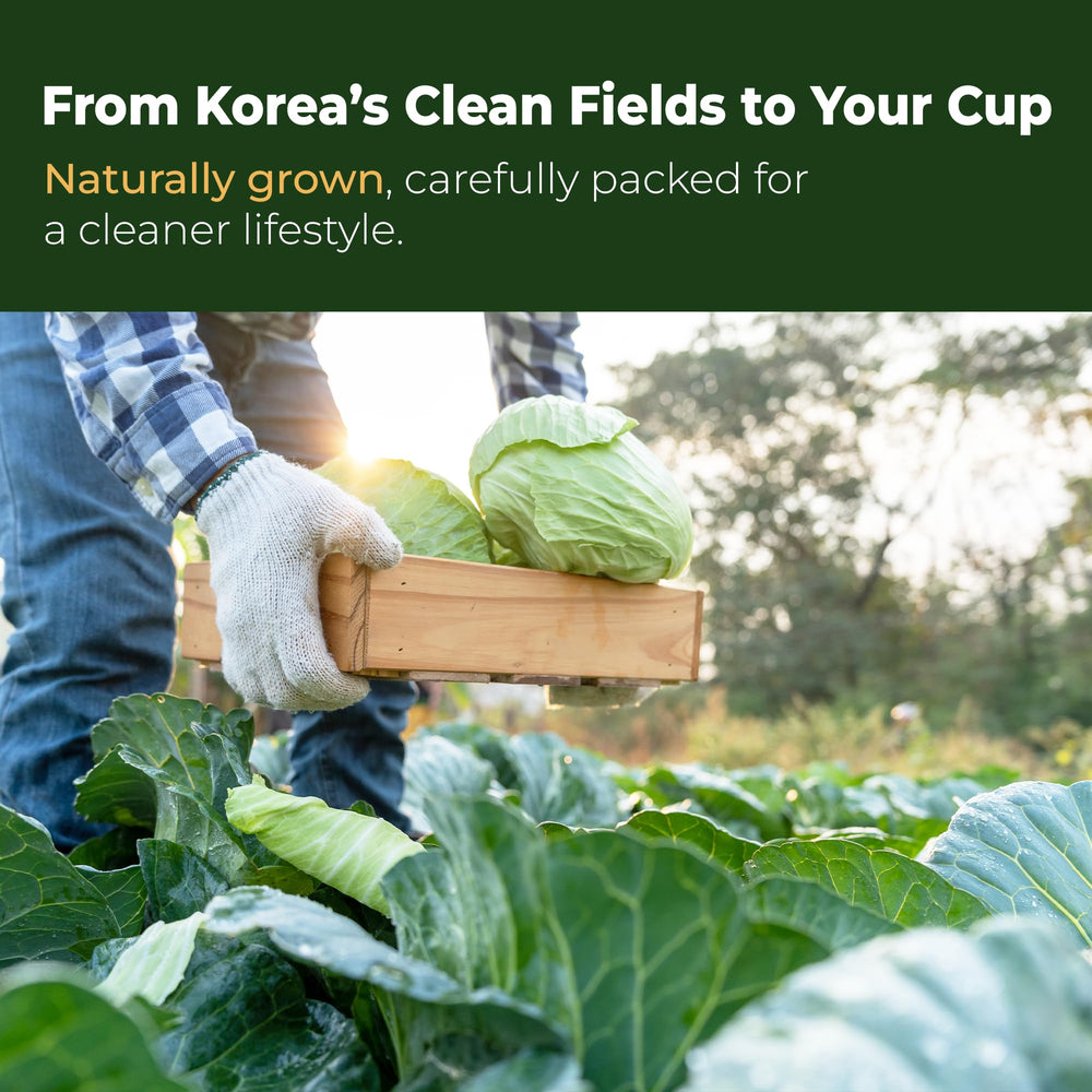 Terrapick premium quality cabbage juice from Korean harvests