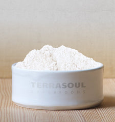Terrasoul coconut milk powder scoop measuring for smoothies and bowls.