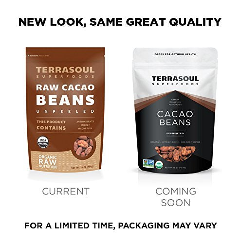 Terrasoul Criollo cacao beans versatile raw ingredient for premium desserts.