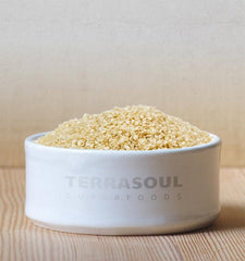 Terrasoul organic sesame seeds in a measuring cup ready to add to recipes