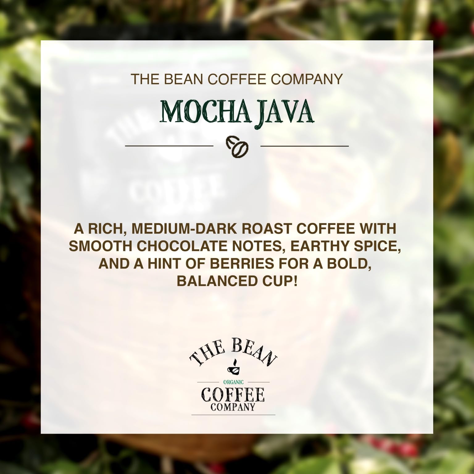 The Bean Mocha Java two-pack bags illustrating convenient, shareable coffee.