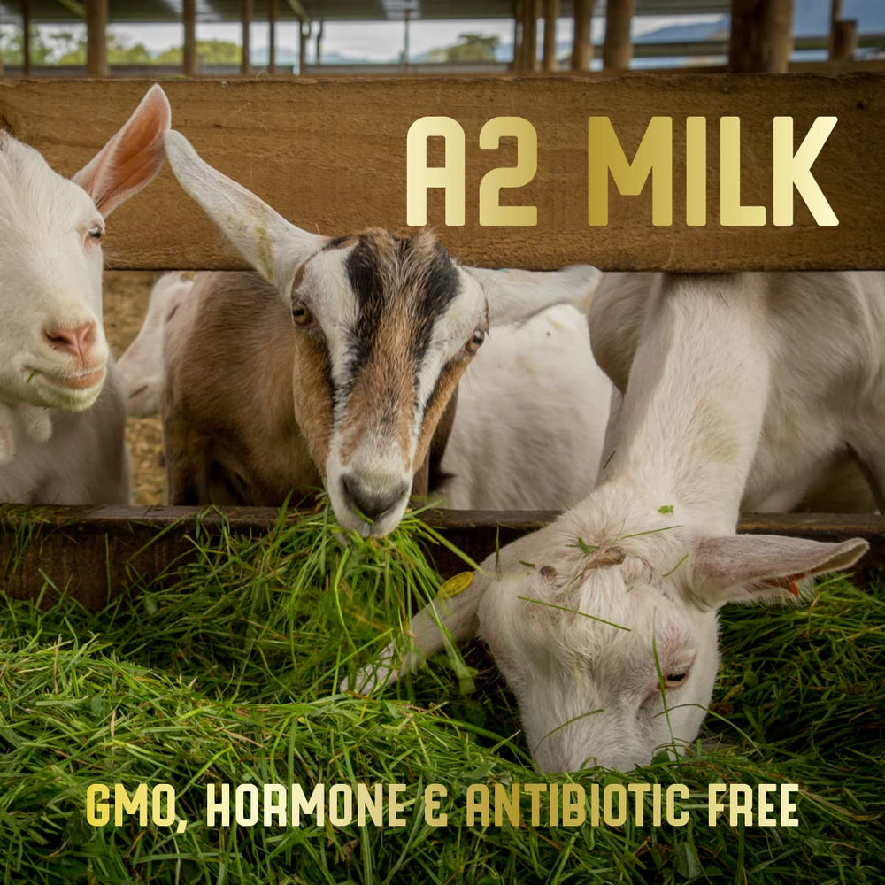 Fresh-cut pasture plants delivered to goats support natural nutrition