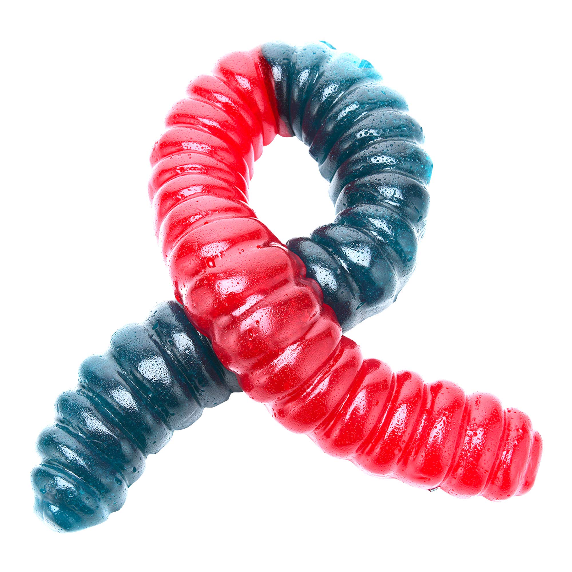 The Gummy Bear Guy World’s Largest Gummy Worm 26in displayed in a gift-ready box
