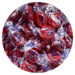 The Hampton Candy Arcor sugar-free cinnamon discs bulk bag ready for everyday snacking.