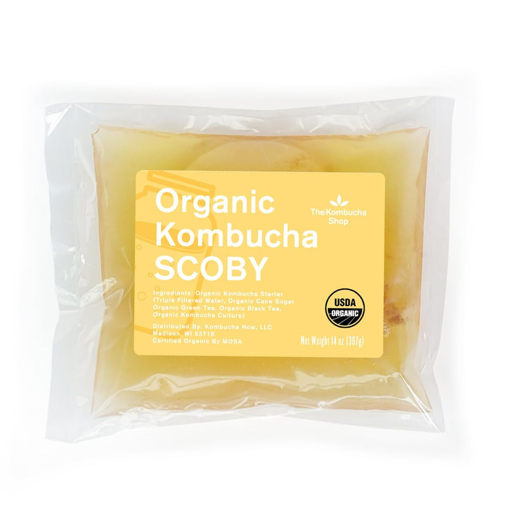 The Kombucha Shop 100% organic SCOBY starter kit assembled for quick home brew