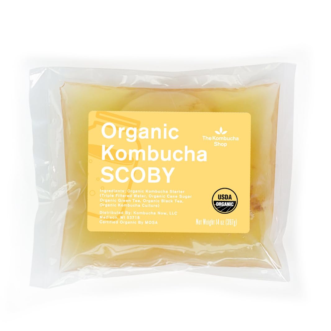 The Kombucha Shop 100% organic SCOBY starter kit assembled for quick home brew