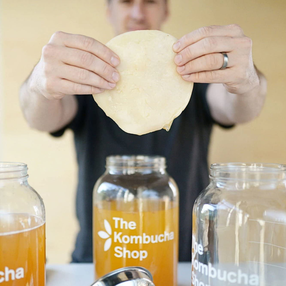 The Kombucha Shop complete starter pack for easy home brewing