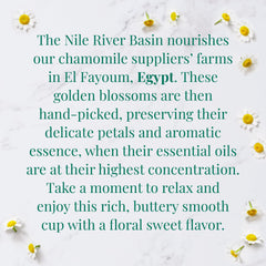 A brewed cup of chamomile from The Republic of Tea for a calming moment