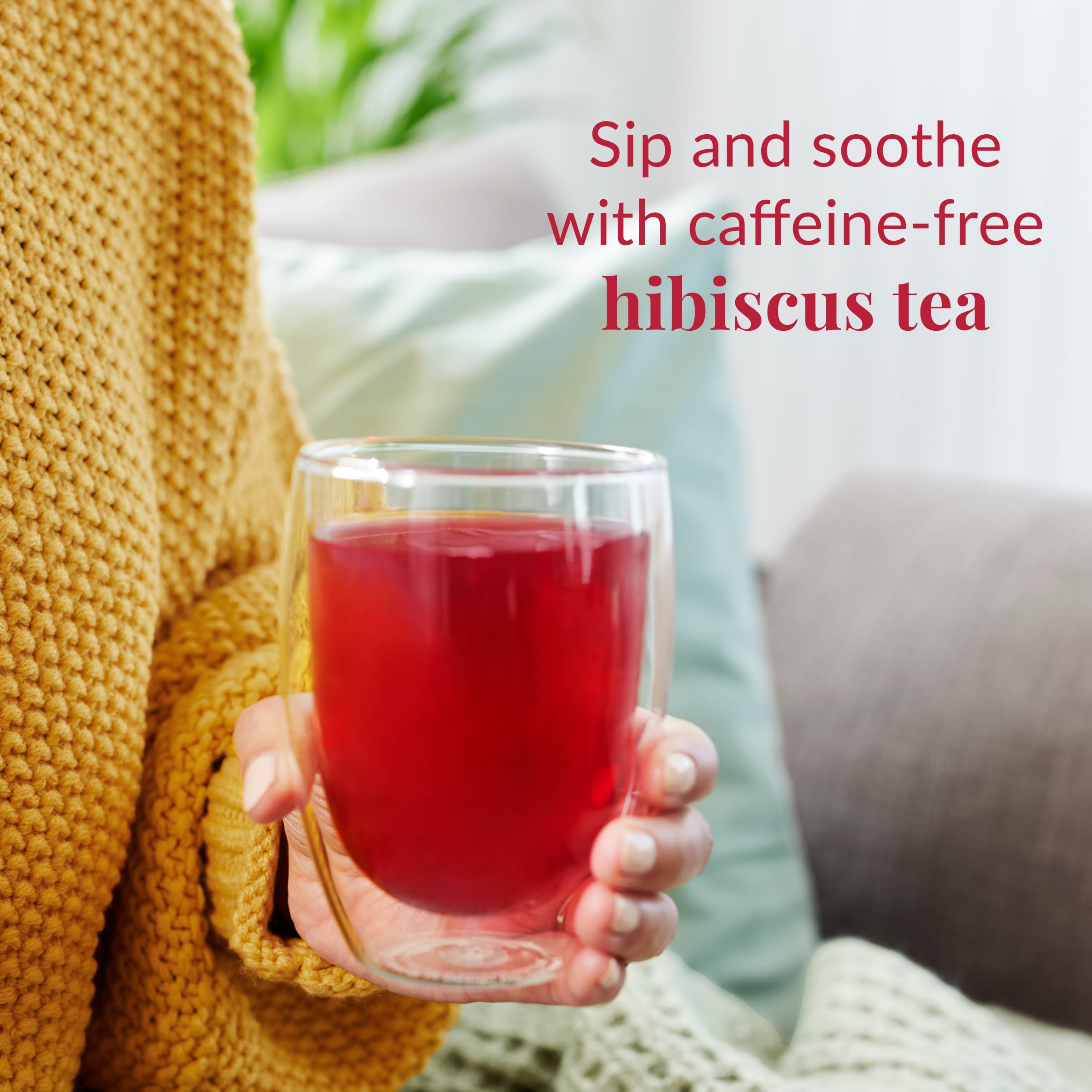 Steeping The Republic of Tea Hibiscus Blueberry in a cup for a fragrant brew