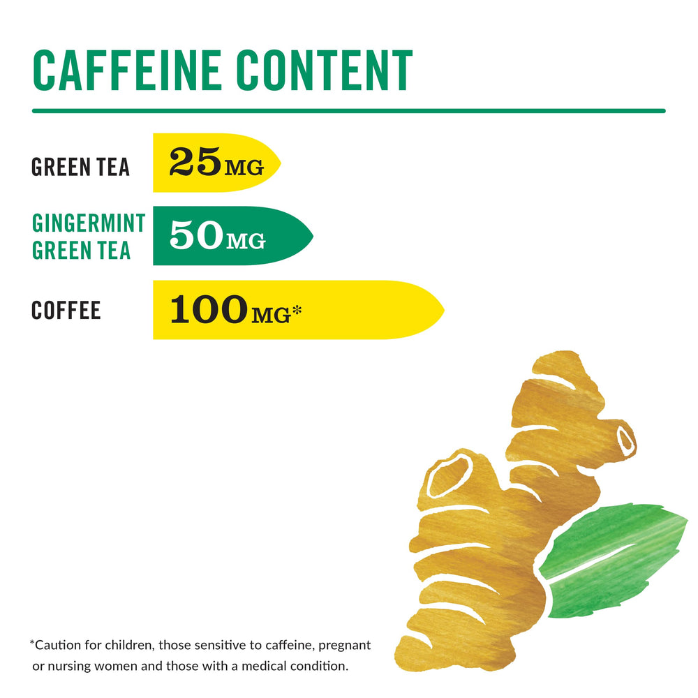HiCAF Gingermint Green Tea steeping steps shown for quick, customizable brew