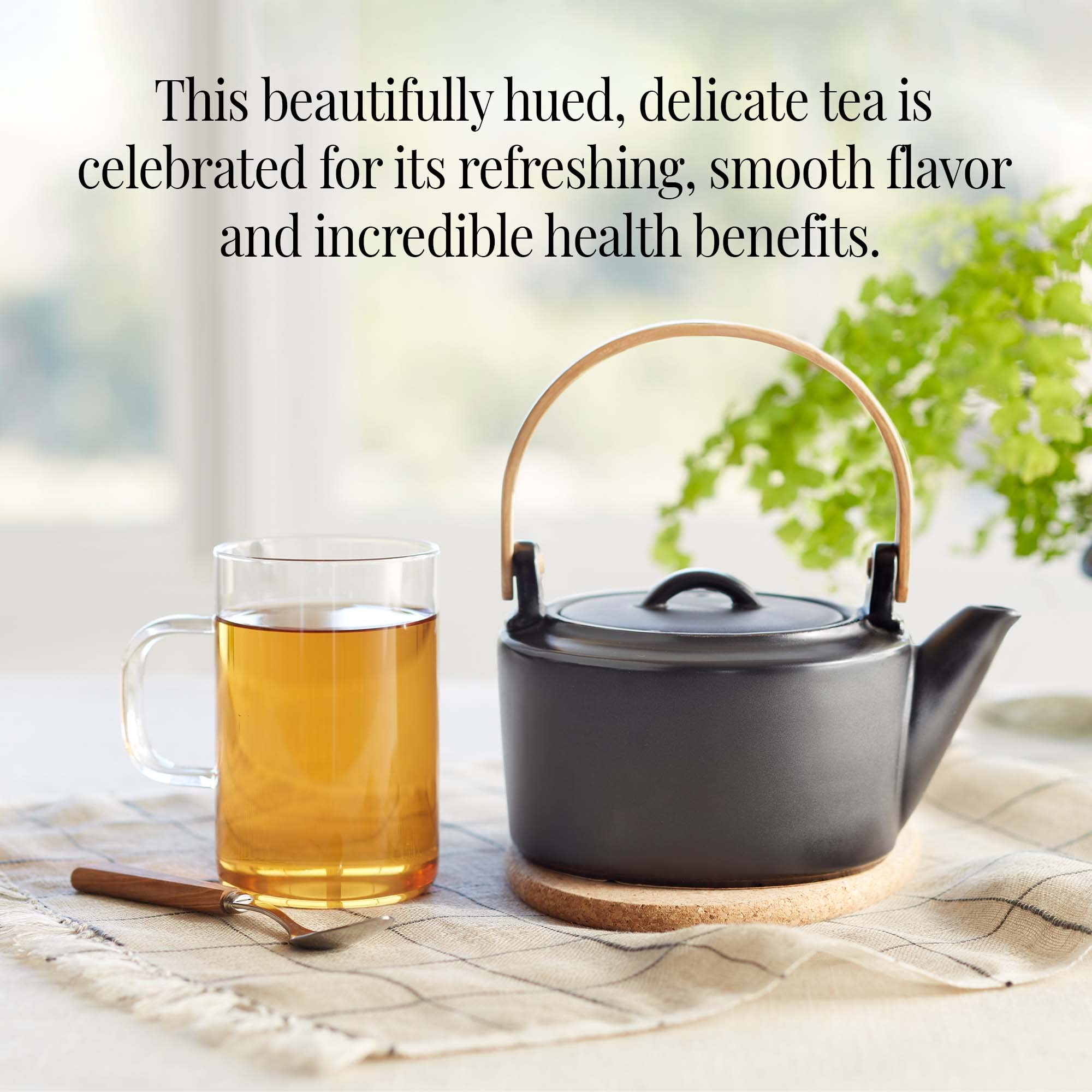 Gift-ready The Republic of Tea People’s Green Tea tin for tea lovers.