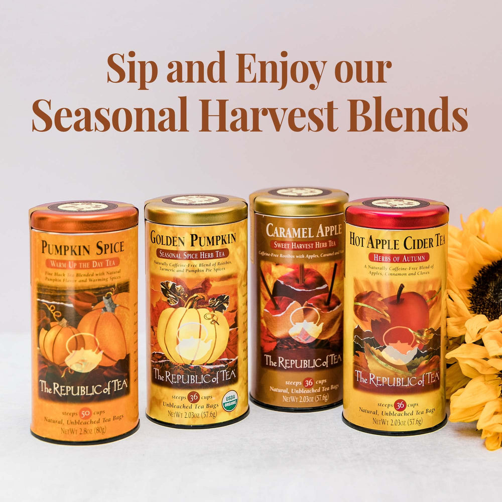 The Republic of Tea Pumpkin Spice Black Tea mug with steam and coziness.