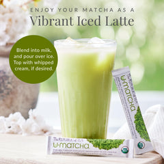 The Republic of Tea Umatcha latte with creamy milk.