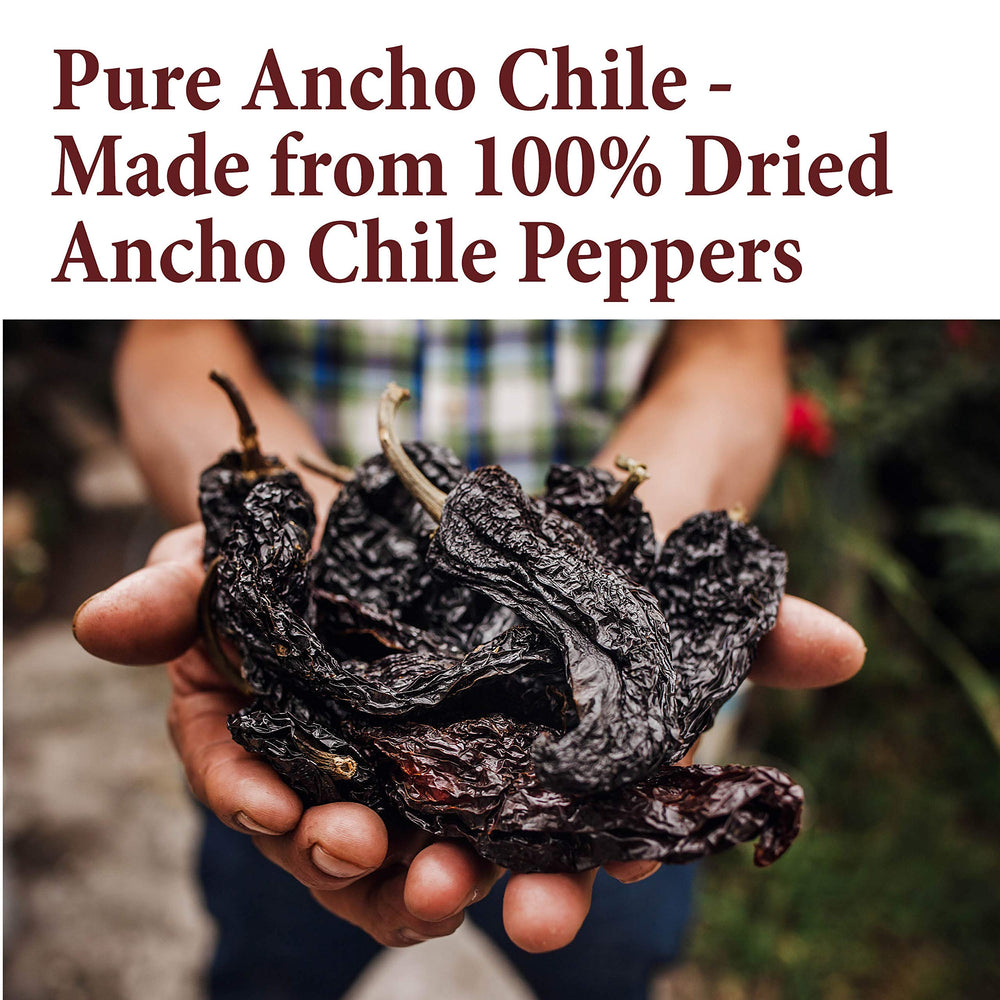 Close-up of The Spice Way ancho powder highlighting pure color and additive-free quality.