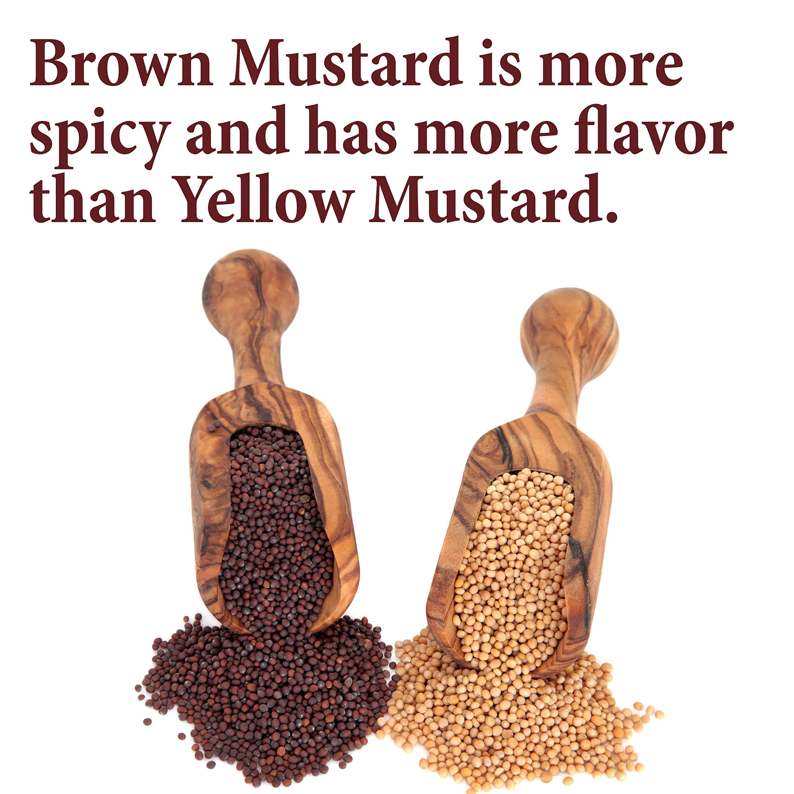 Close-up of The Spice Way seeds showing texture for bold, warm flavor.