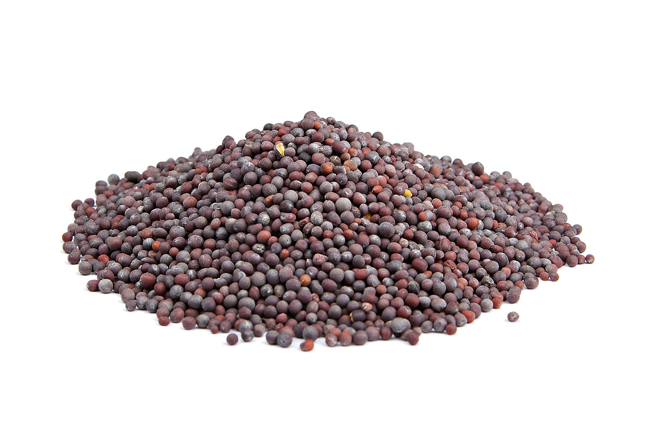 The Spice Way seeds ready to flavor a recipe.