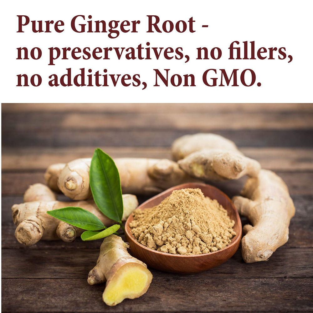 The Spice Way Ginger Powder jar with scoop for sauces and teas.